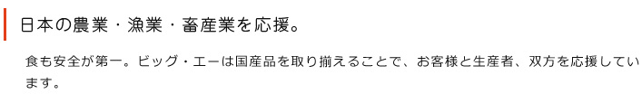 ビッグ・エー開発商品